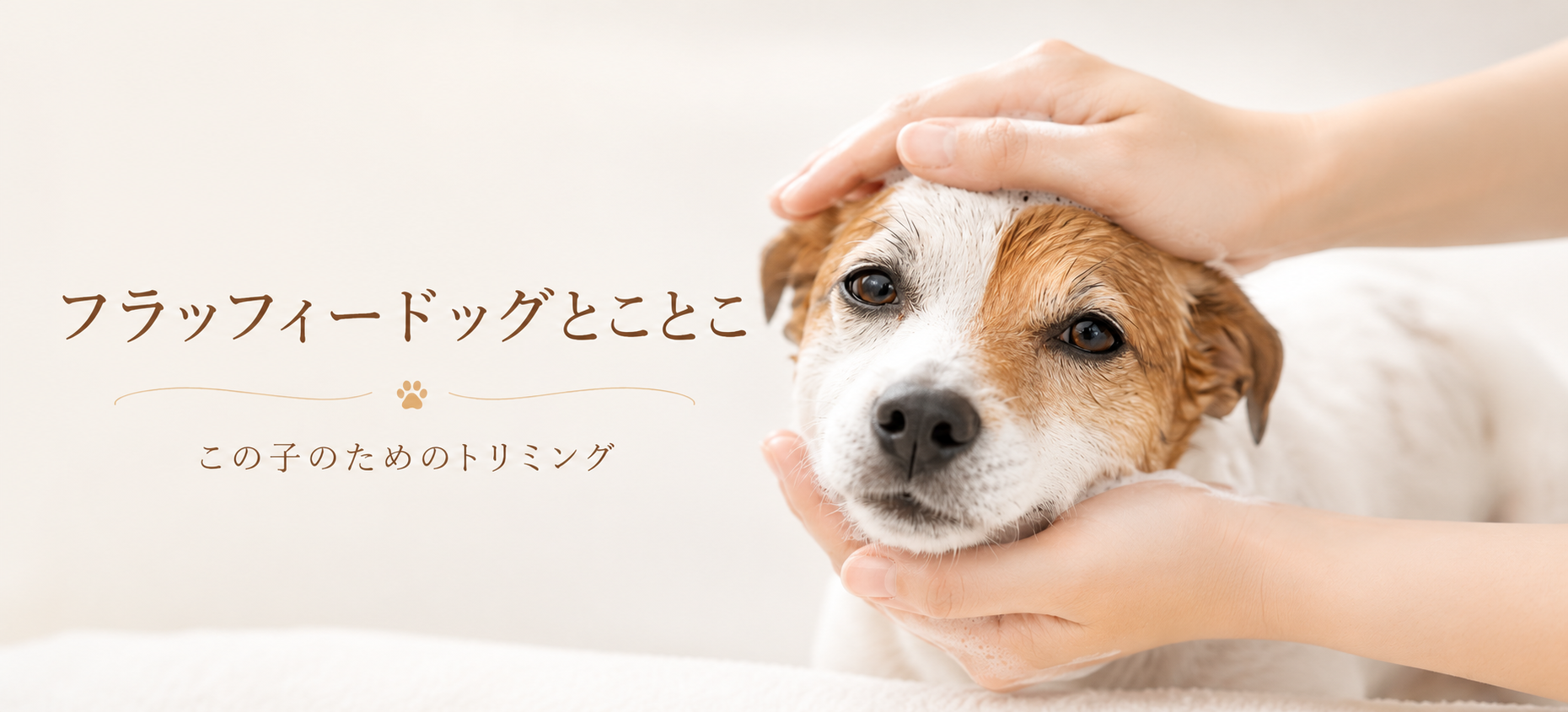 安心した表情のワンちゃんをやさしく洗う様子